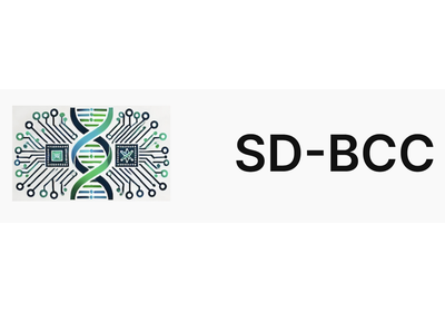 SD BCC